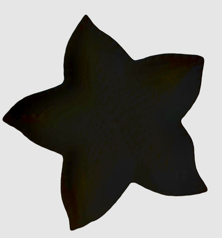 Starfish - Water Jet Cut