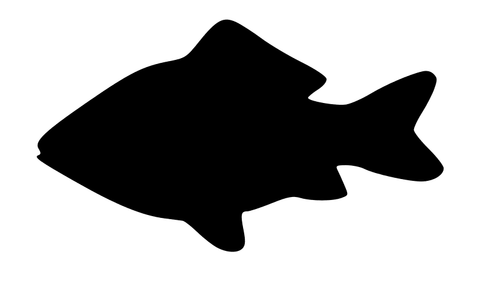 Wide Fish - Water Jet Cut - The Glass Underground