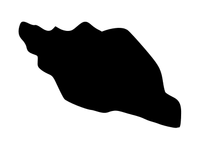 Conch Shell - Water Jet Cut - The Glass Underground