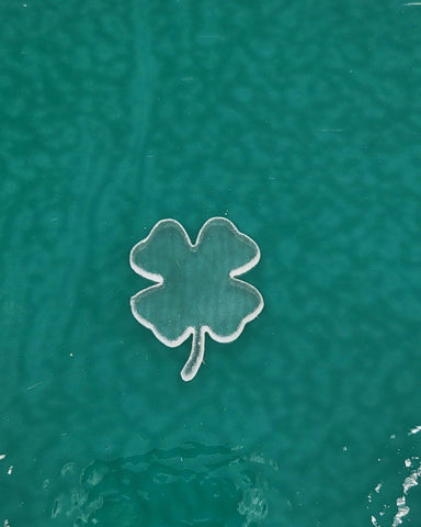 Four Leaf Clover - Water Jet Cut - The Glass Underground