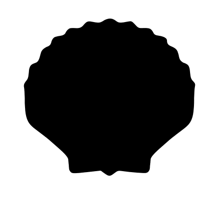 Scallop Shell - Water Jet Cut - The Glass Underground