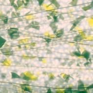 Summer: Green and Yellow on Lacy White (4012) 3mm-1/2 Sheet-The Glass Underground