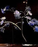 Dogwood - Craig Mitchell Smith