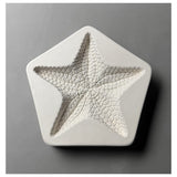 Starfish Frit Casting Mold