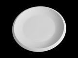 Flat Rimmed Dinner Plate