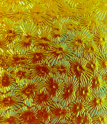 Blue Gold Florentine Dichro on Black 2mm