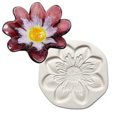 Dahlia Mold