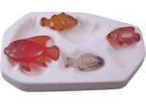 Tropical Fish