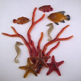 Tropical Fish