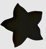 Starfish - Water Jet Cut