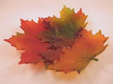 Northwoods Maple Mold - The Glass Underground 