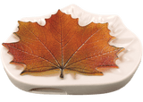 Northwoods Maple Mold - The Glass Underground 
