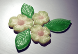 Dogwood Mold - The Glass Underground 