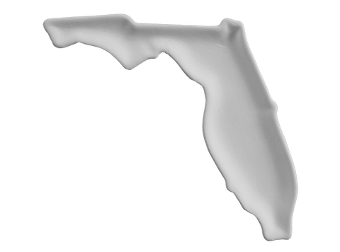 Florida Plate - The Glass Underground 