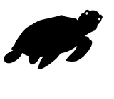 Turtle - Water Jet Cut - The Glass Underground 