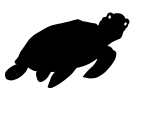 Turtle - Water Jet Cut - The Glass Underground 
