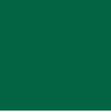 EZ Fire High Temp Enamels-Chrome Green 312-The Glass Underground