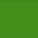 EZ Fire High Temp Enamels-Grass Green 311-The Glass Underground