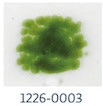 Lily Pad Green Transparent Frit (1226)-5 lbs.-Coarse-The Glass Underground